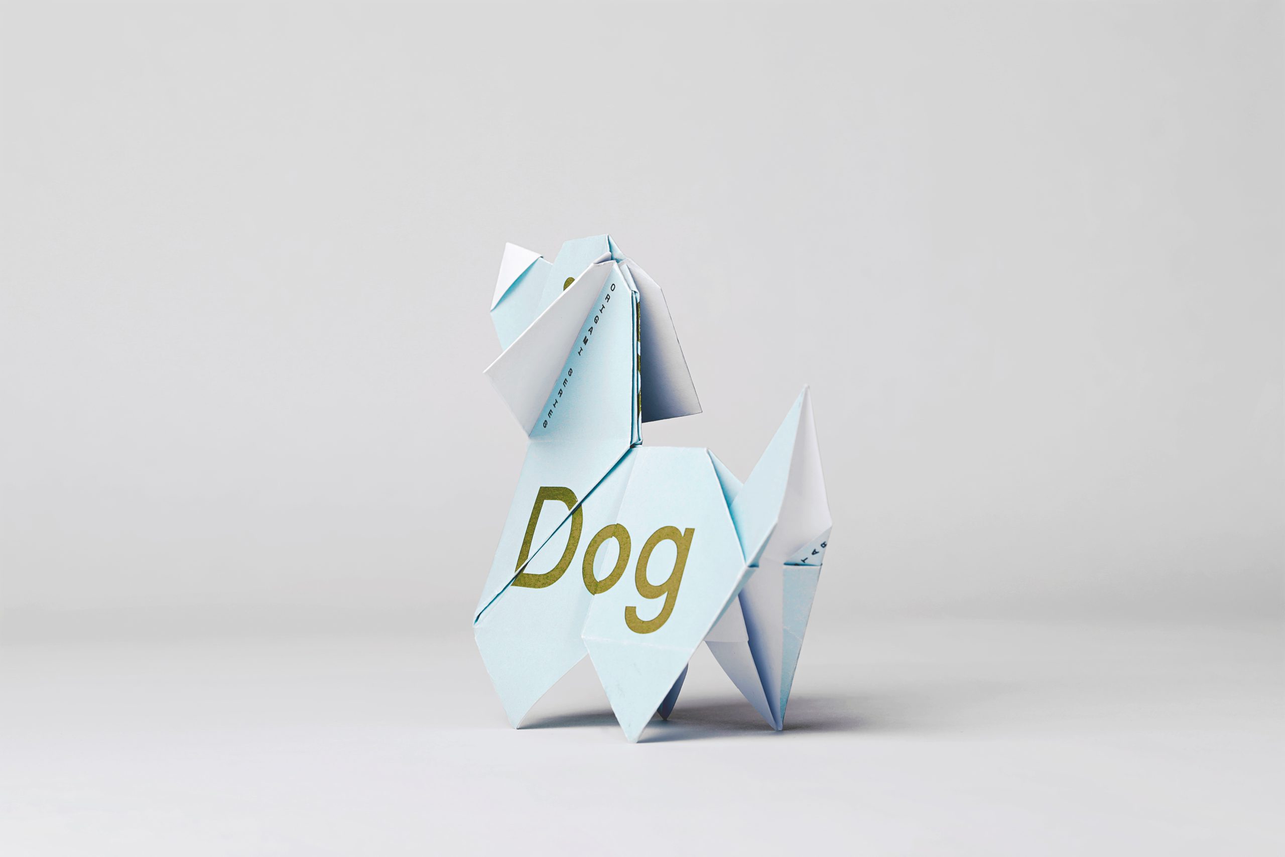 21_Folded_Dog_Hero