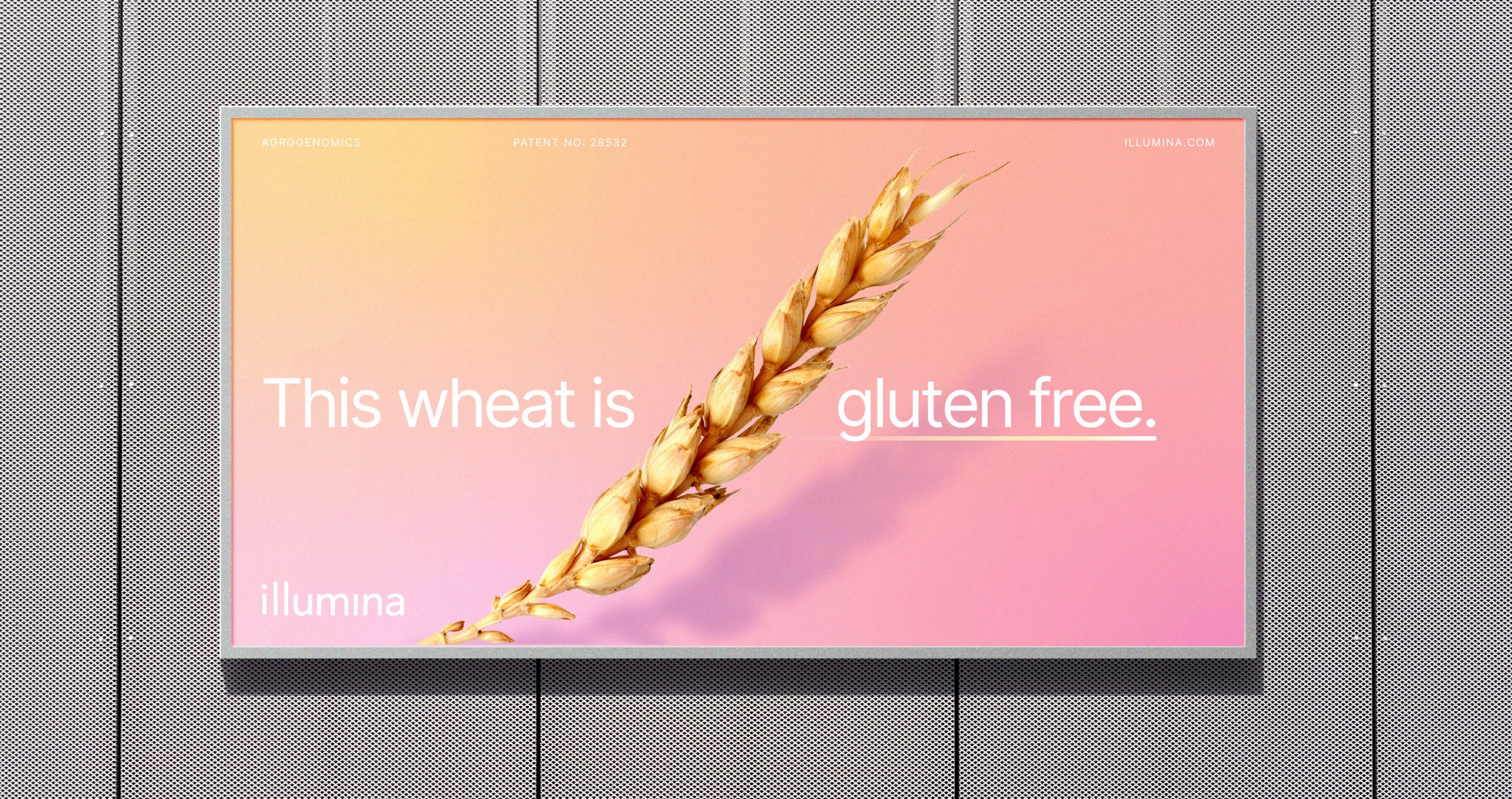 OOH—Wheat_02
